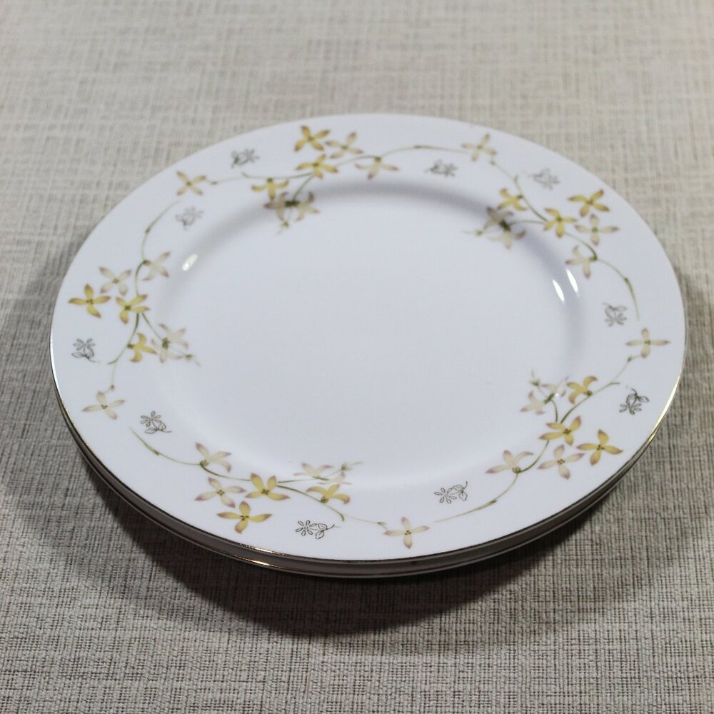 Set of 2 - Summit Fine China Japan Barbara, Porcelain 10.5" Dinner Plates